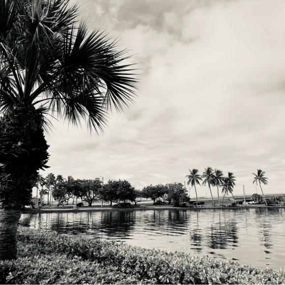 Meet your Posher, TK - Picture 1 of 1